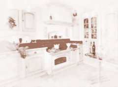 专题图片:敞开式厨房装修风水常识